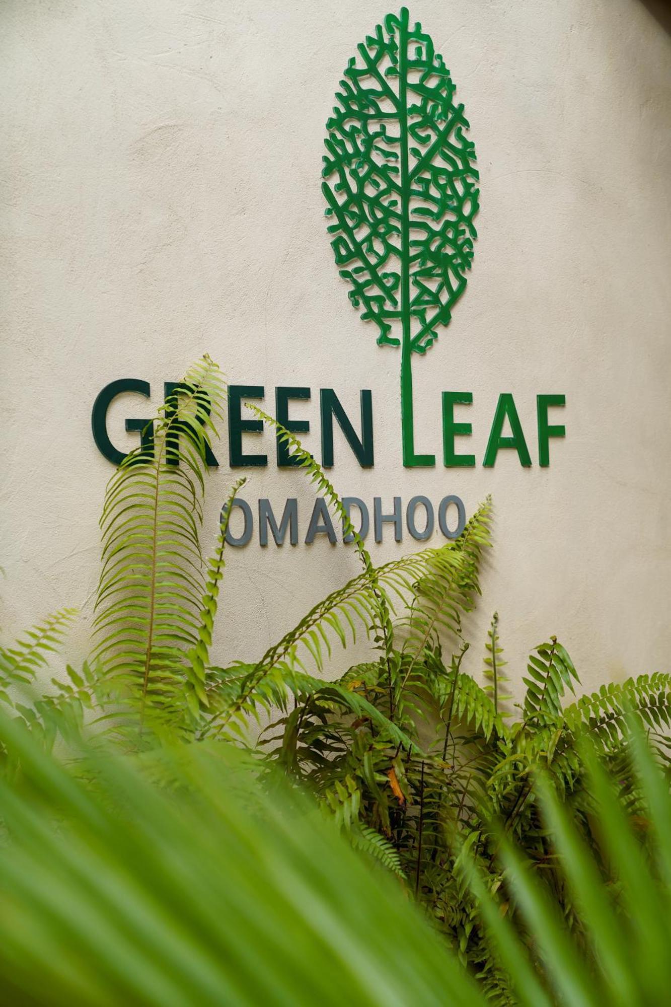 Green Leaf Guest House - Omadhoo Екстер'єр фото